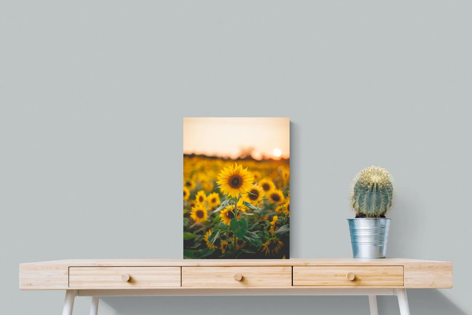 Sunflowers at Sunset