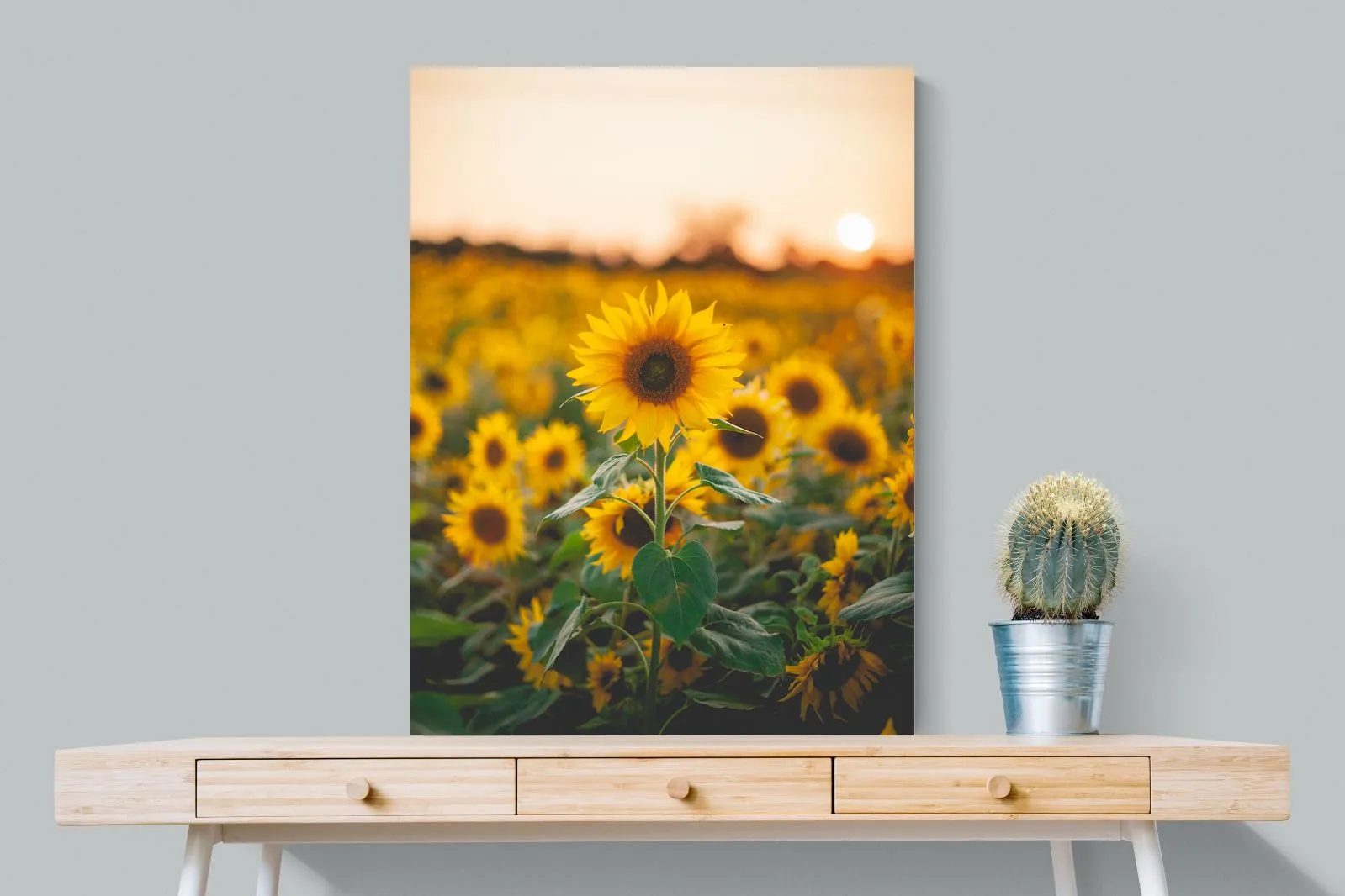 Sunflowers at Sunset