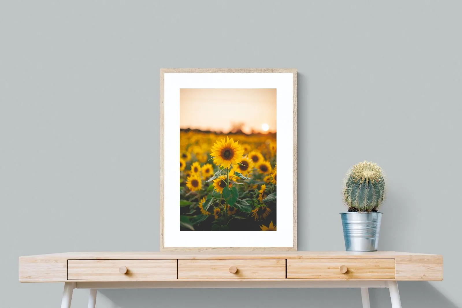 Sunflowers at Sunset