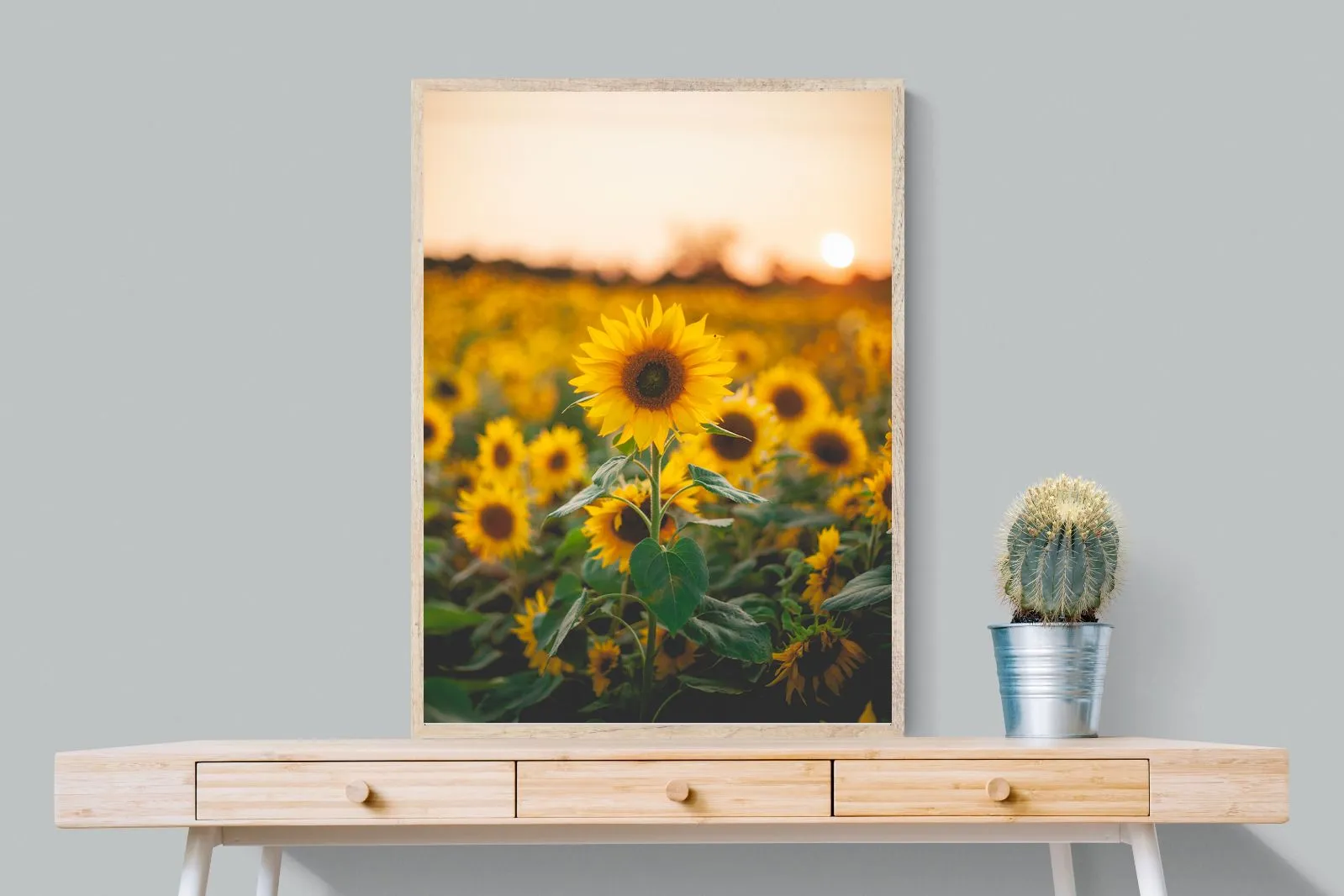 Sunflowers at Sunset