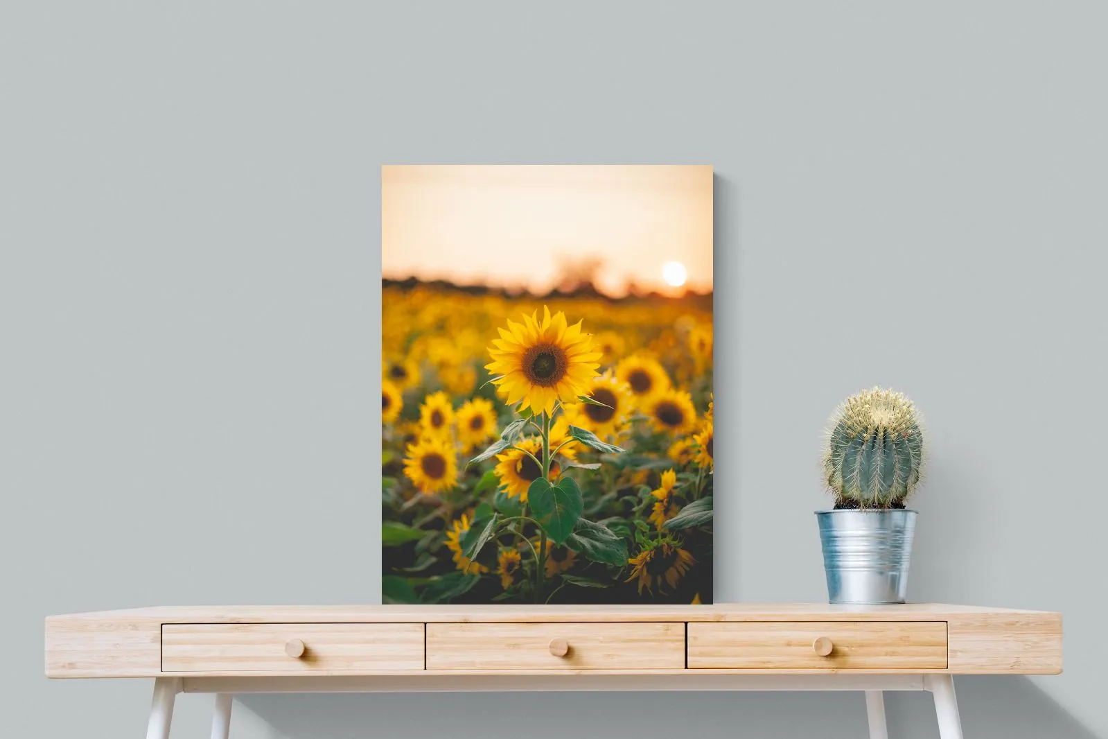 Sunflowers at Sunset