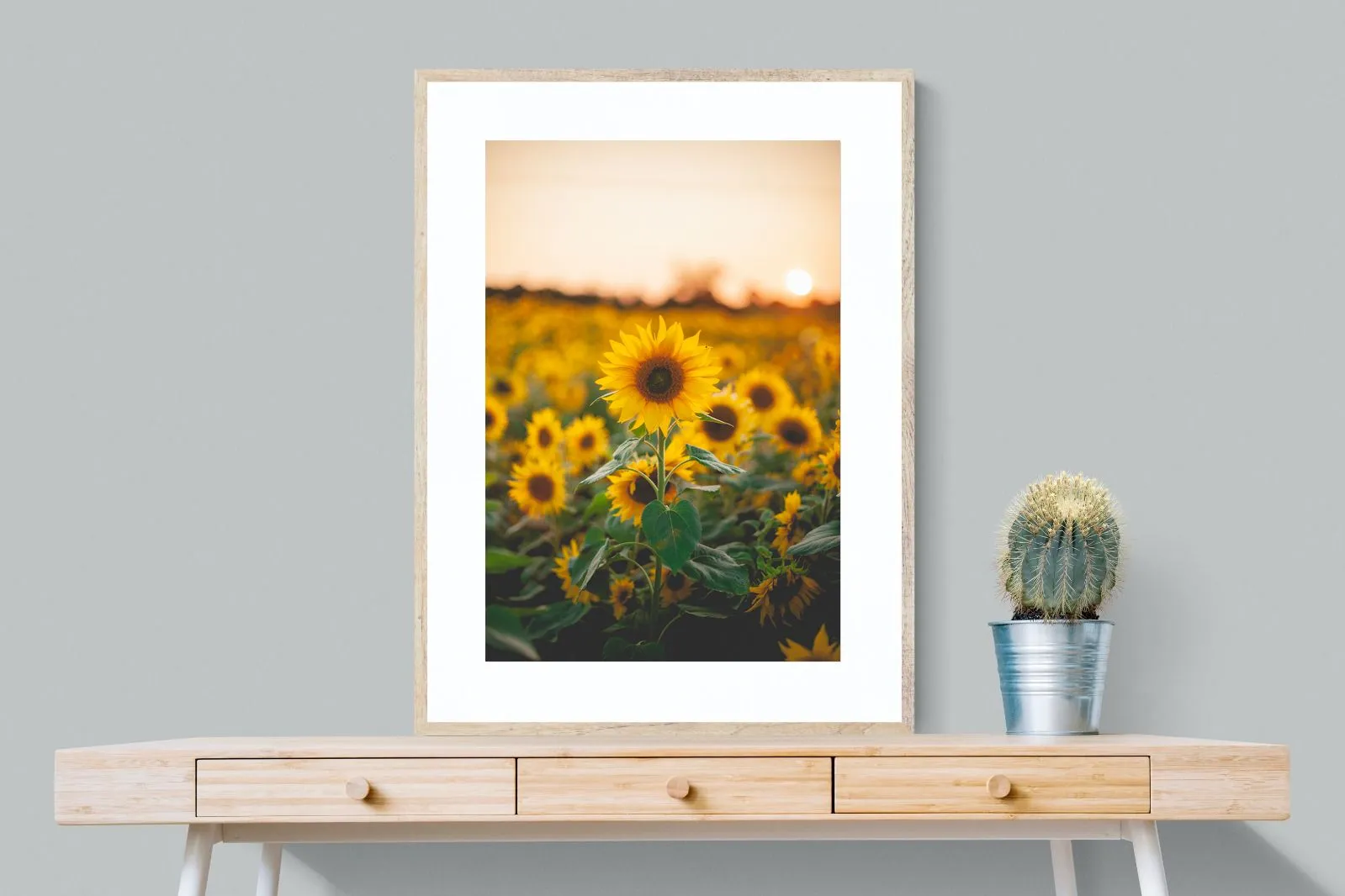 Sunflowers at Sunset