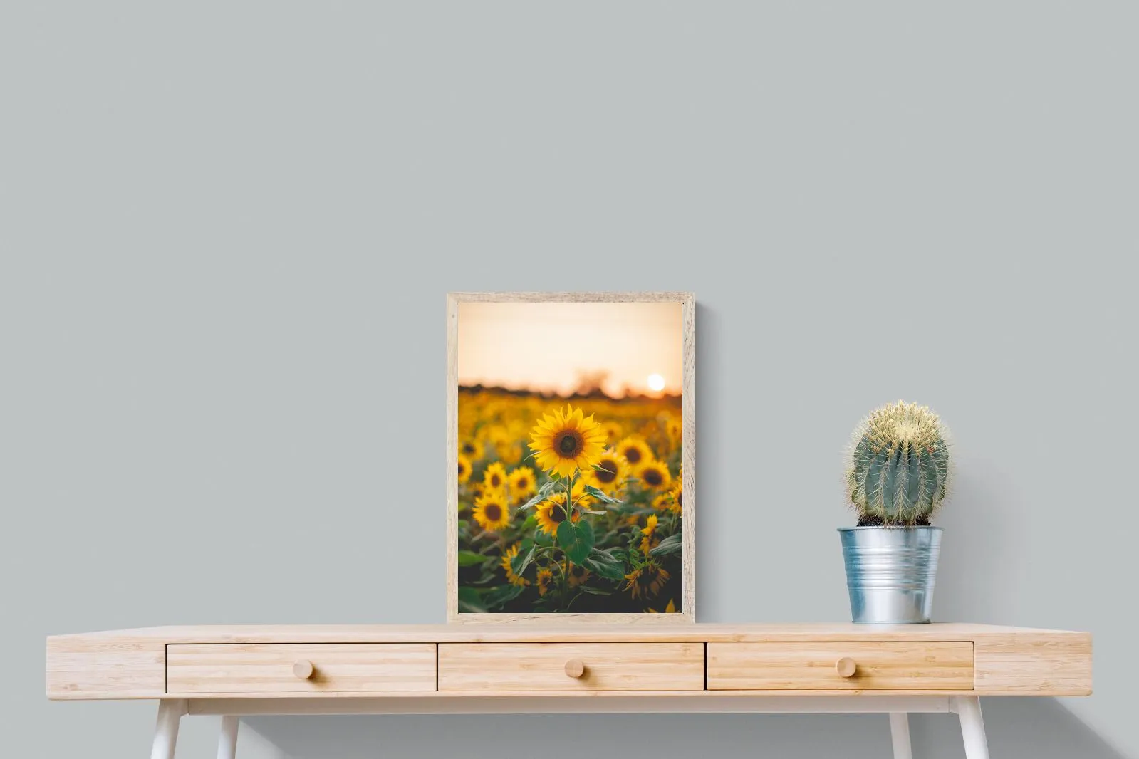 Sunflowers at Sunset